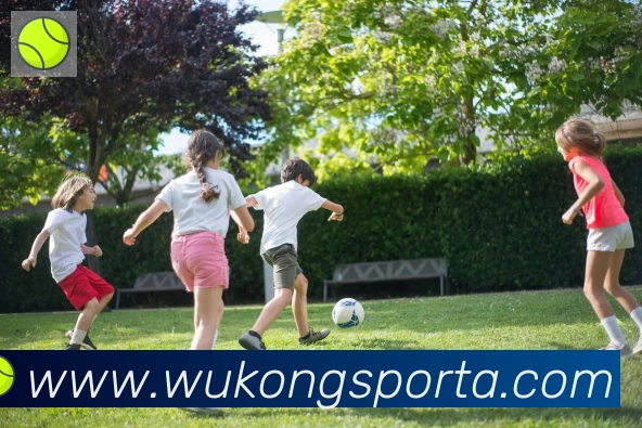 悟空体育品牌故事