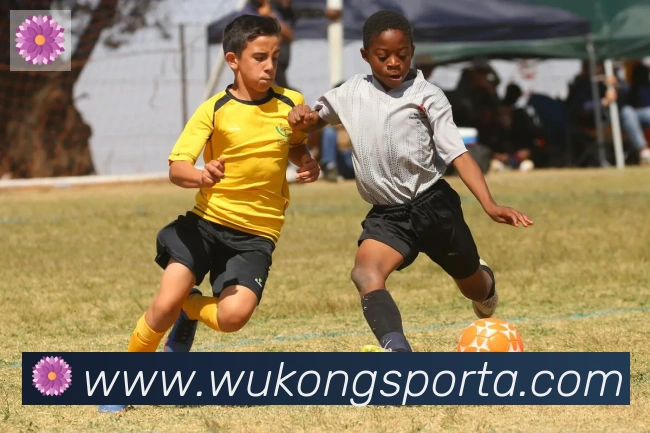 悟空体育服务体系