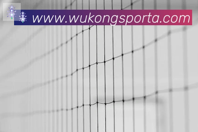 App Interface Preview