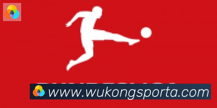 悟空体育合作伙伴