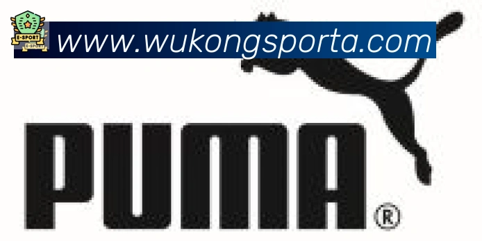 悟空体育合作伙伴