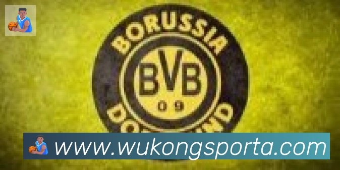 悟空体育合作伙伴